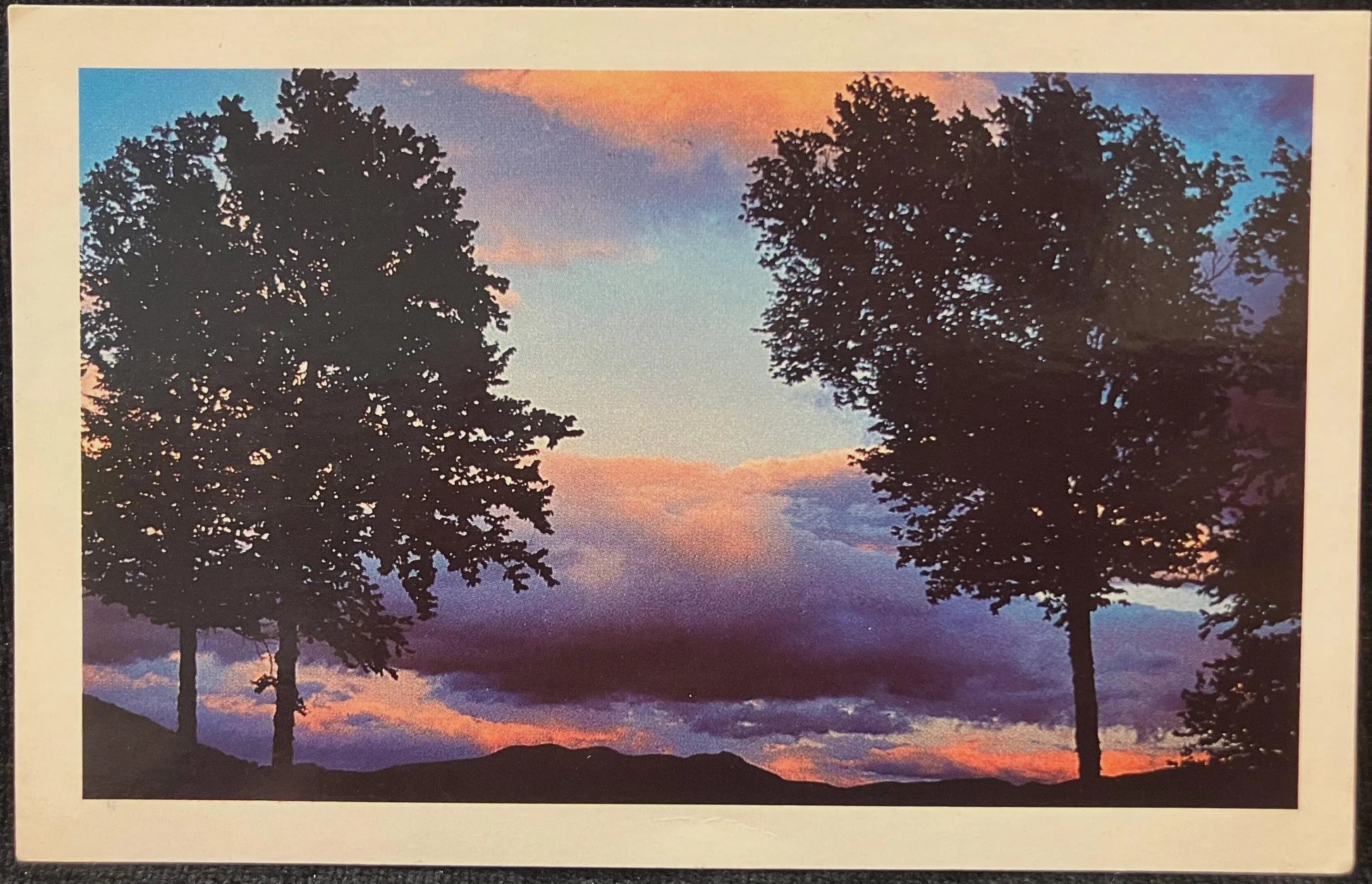 Two trees against a colorful sunset sky