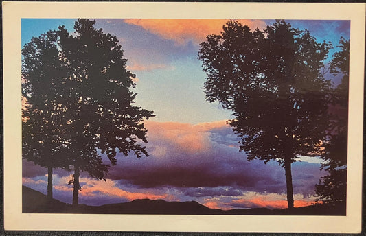 Two trees against a colorful sunset sky
