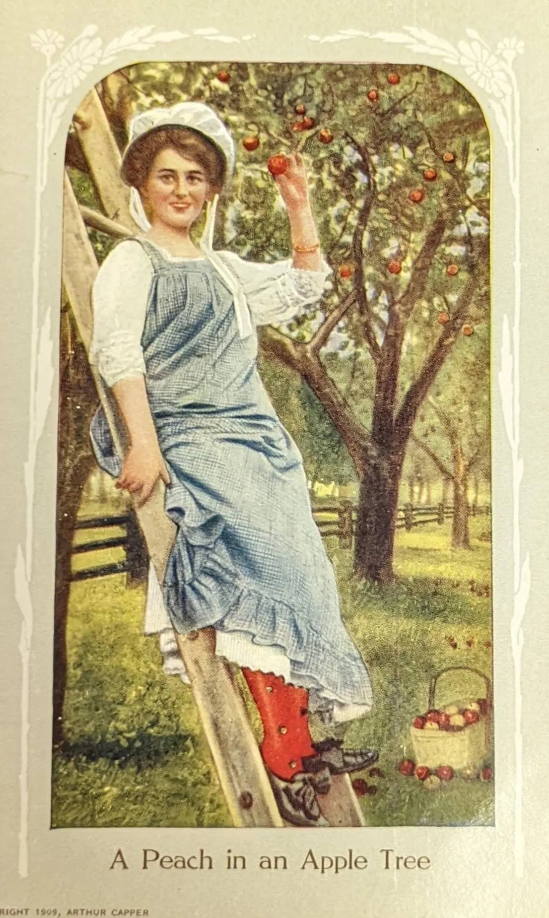 Woman picking peaches from an apple tree in a vintage-style illustration.