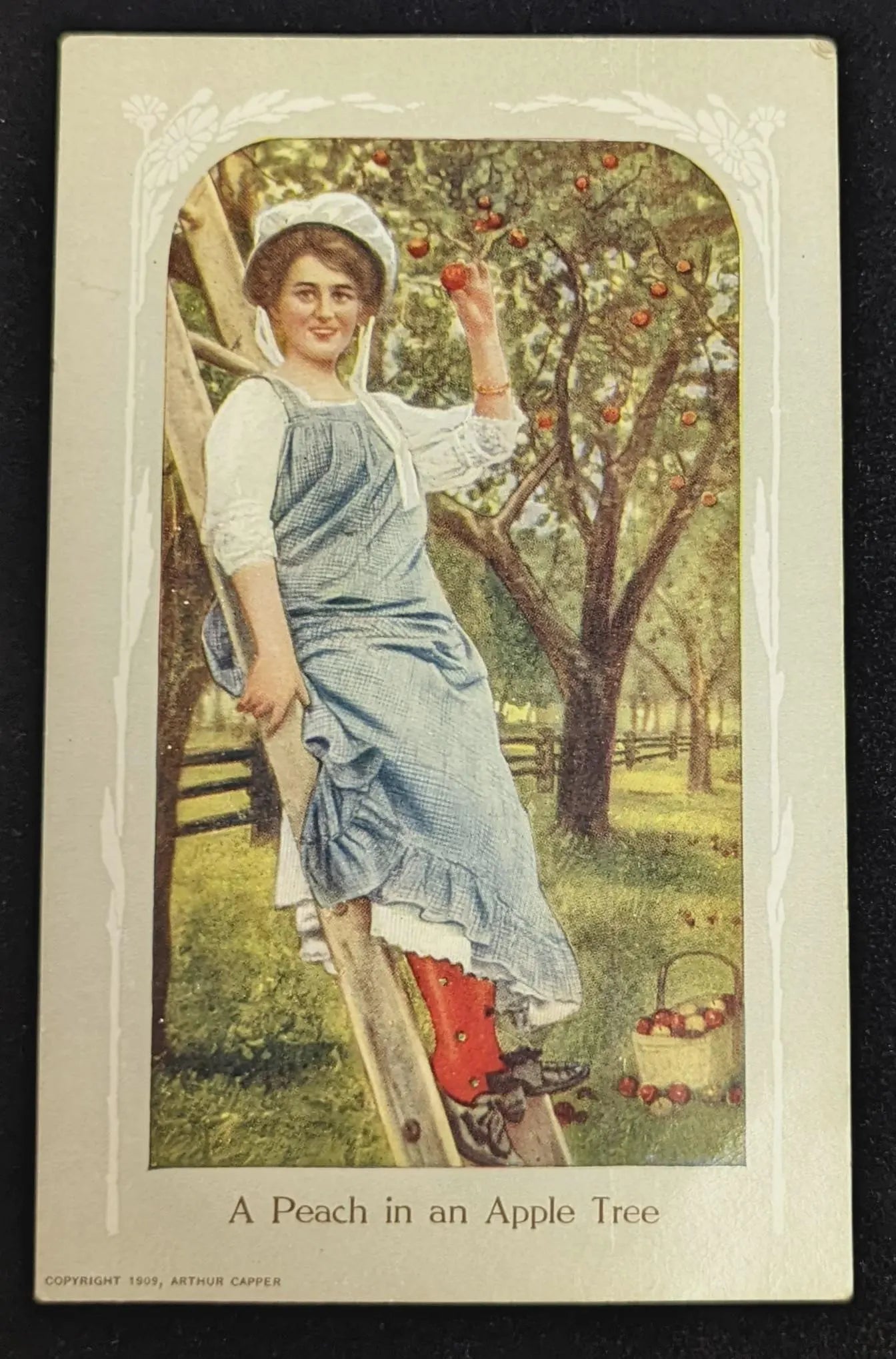 Vintage illustration of a woman picking peaches from an apple tree