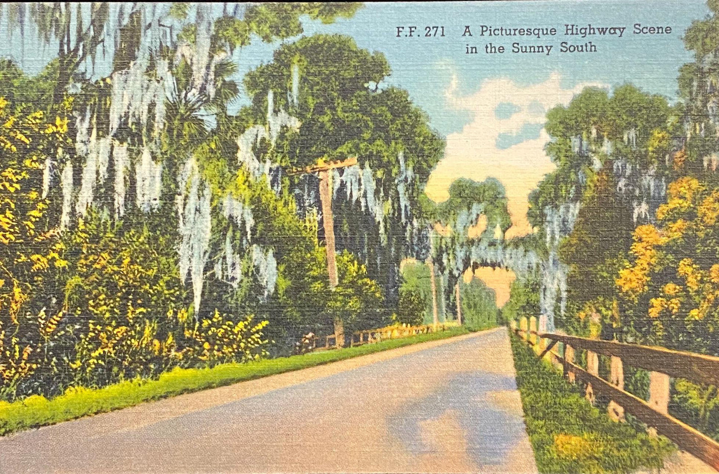 A Picturesque Highway Scene in the Sunny South, Louisiana - 1937 Linen Postcard