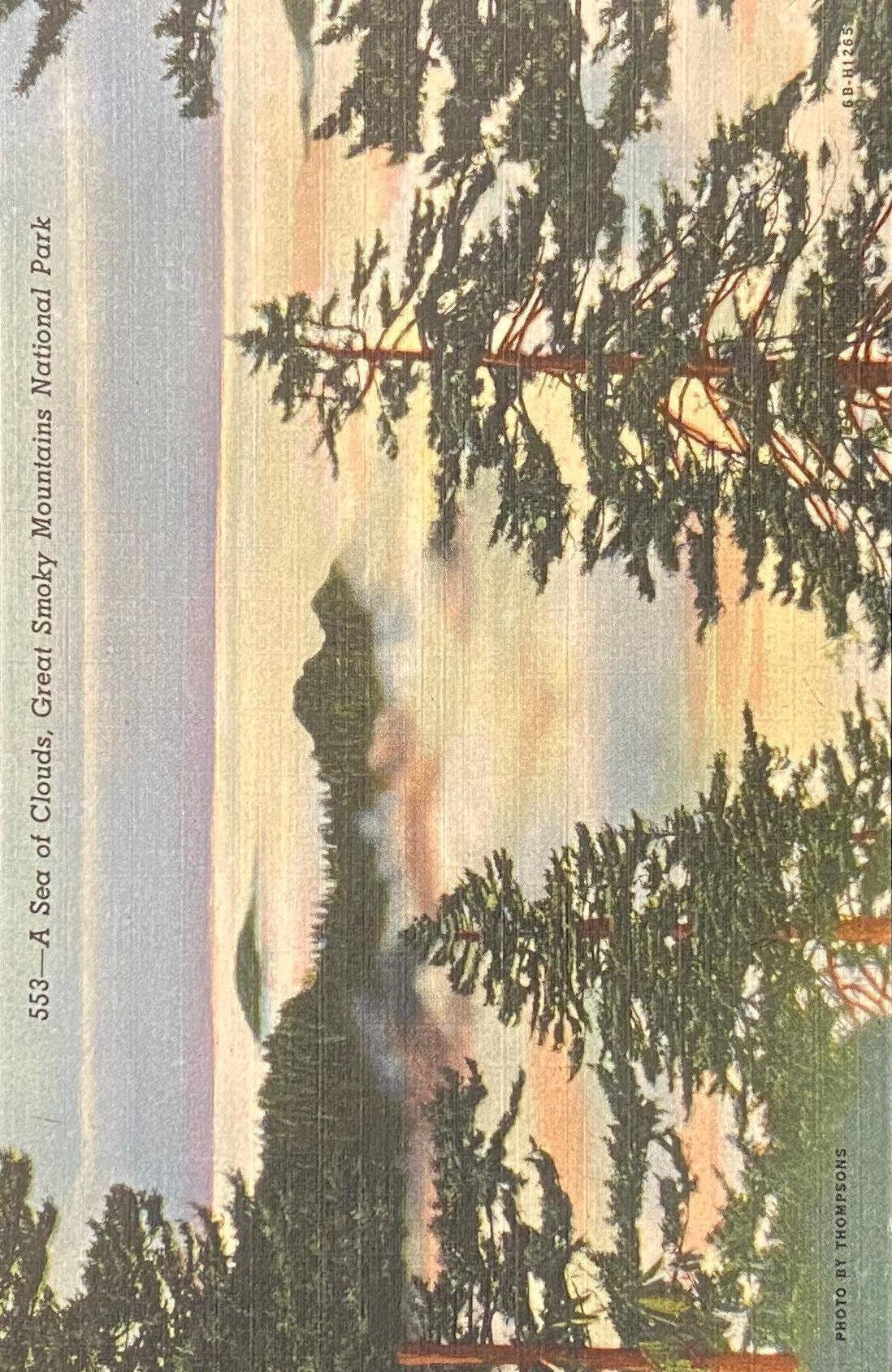 Vintage-style illustration of a mountain silhouette with trees and clouds