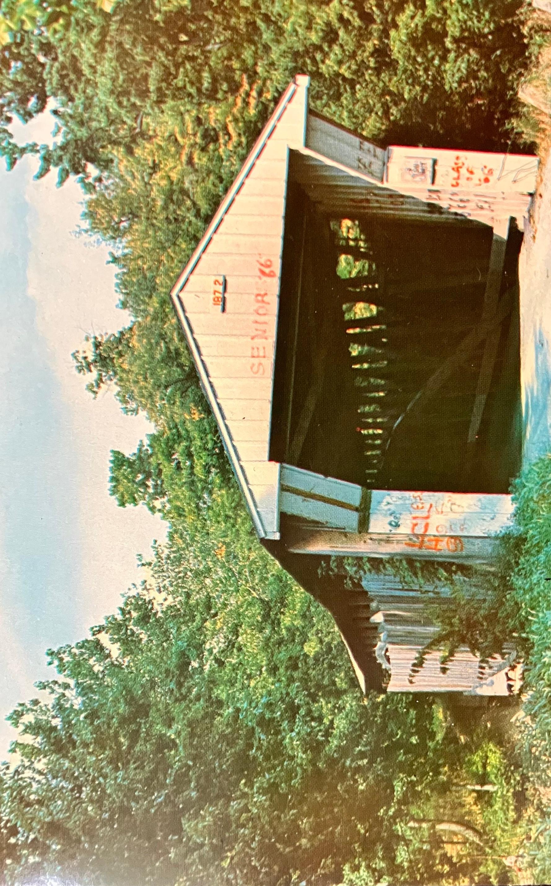 Adams Mill Bridge over Wild Cat Creek in Carroll County, Indiana - Photo: Mitchell - Vintage Covered