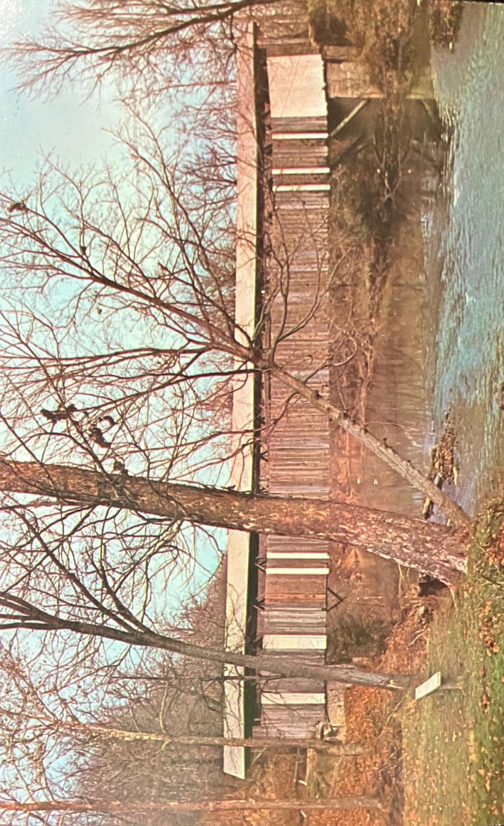 Adams Mill Bridge over Wild Cat Creek in Carroll County, Indiana - Photo byJohn V. Pontiere Jr. - Vi