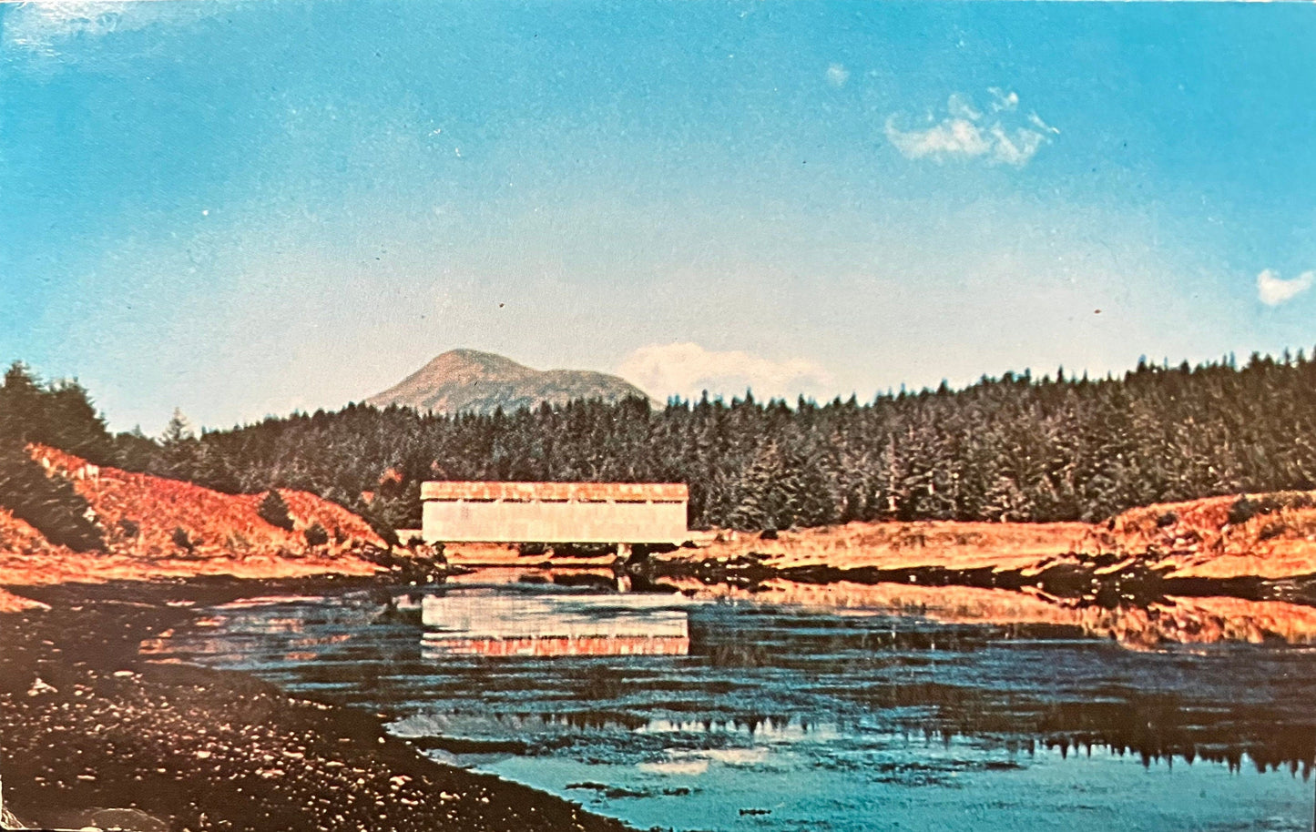 Afognak Island Covered Bridge, Alaska - Photo: Stanley D. Banks - Vintage Postcard