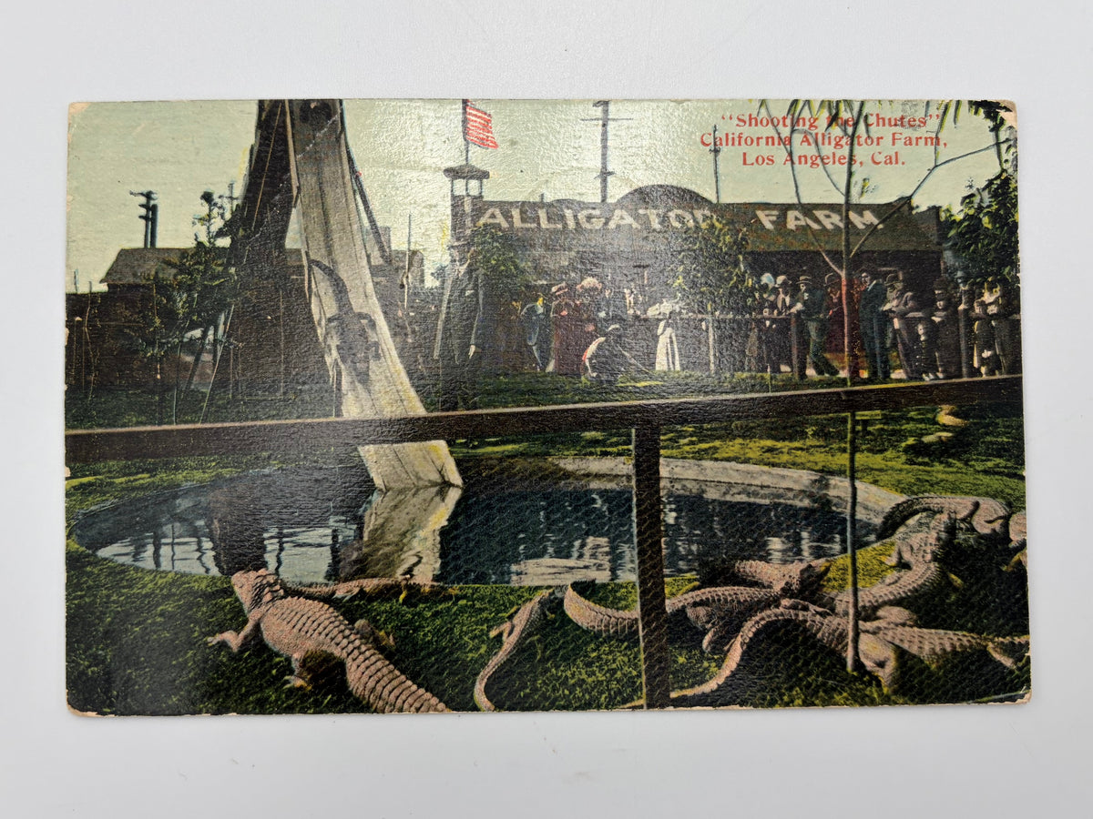 A vintage postcard depicting the Alligator Farm in L.A.