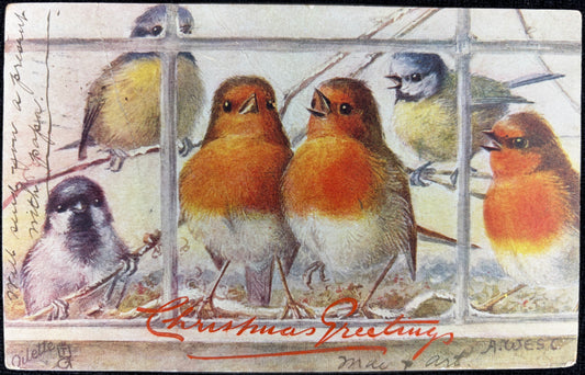 1906 Christmas Birds at the Window | Christmas Postcard