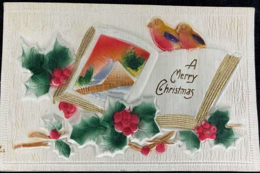 Heavy Relief Christmas Book and Birds - Vintage Postcard