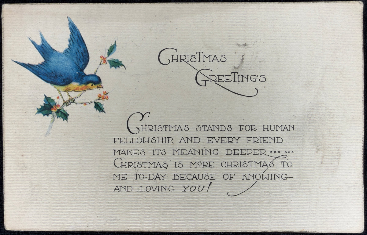 Christmas Blue Bird on a Holly Branch - Vintage Postcard