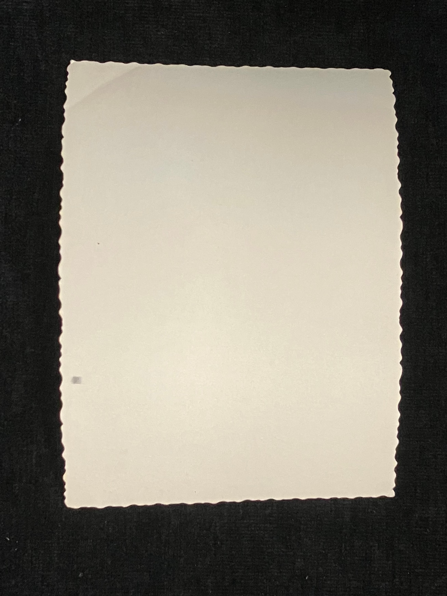 B&W Photograph - 1955 Christmas Beachgoers at Cypress Gardens Water Ski Park, Florida - Former Theme Park Archive Photo