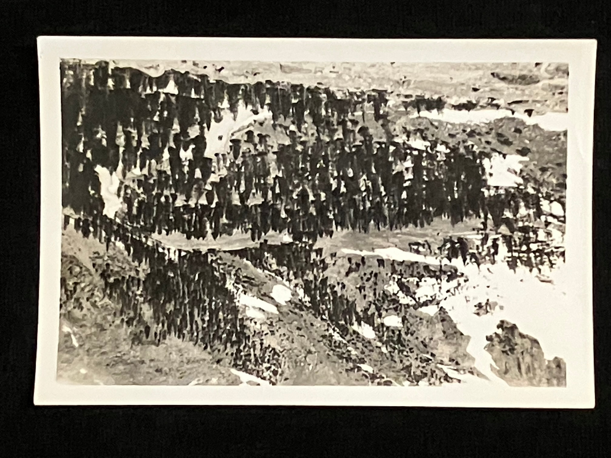 A black and white landscape photograph print showing a dense forested mountain slope, displayed on a black background.