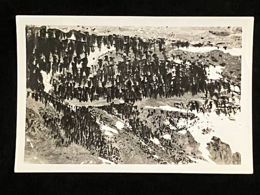 A black and white landscape photograph print showing a dense forested mountain slope, displayed on a black background.