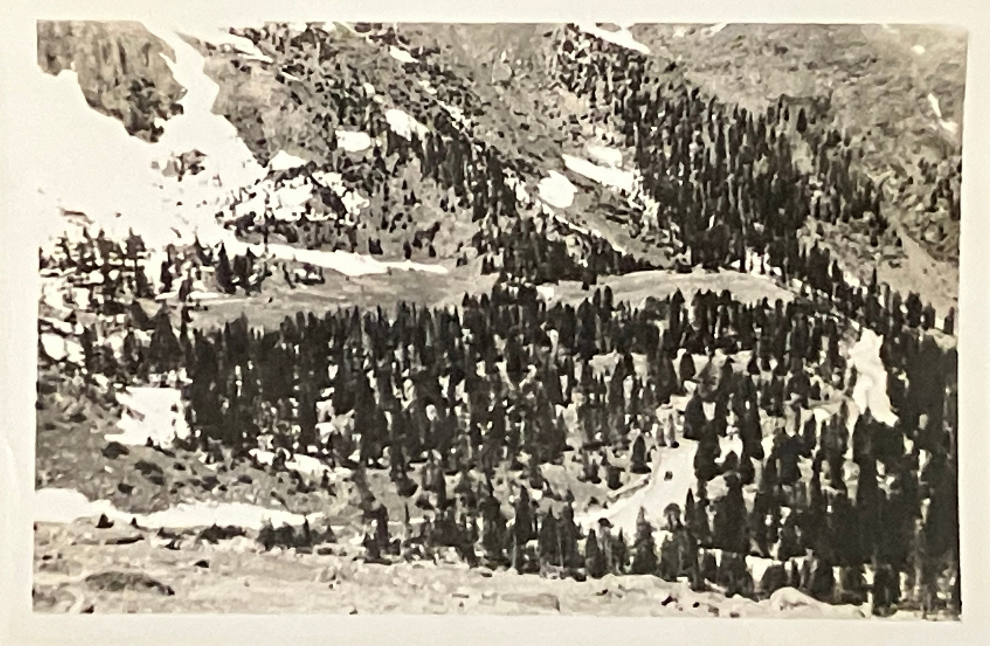 A black and white landscape photograph of a mountain slope covered in dense evergreen trees, with patches of snow and rocky terrain.