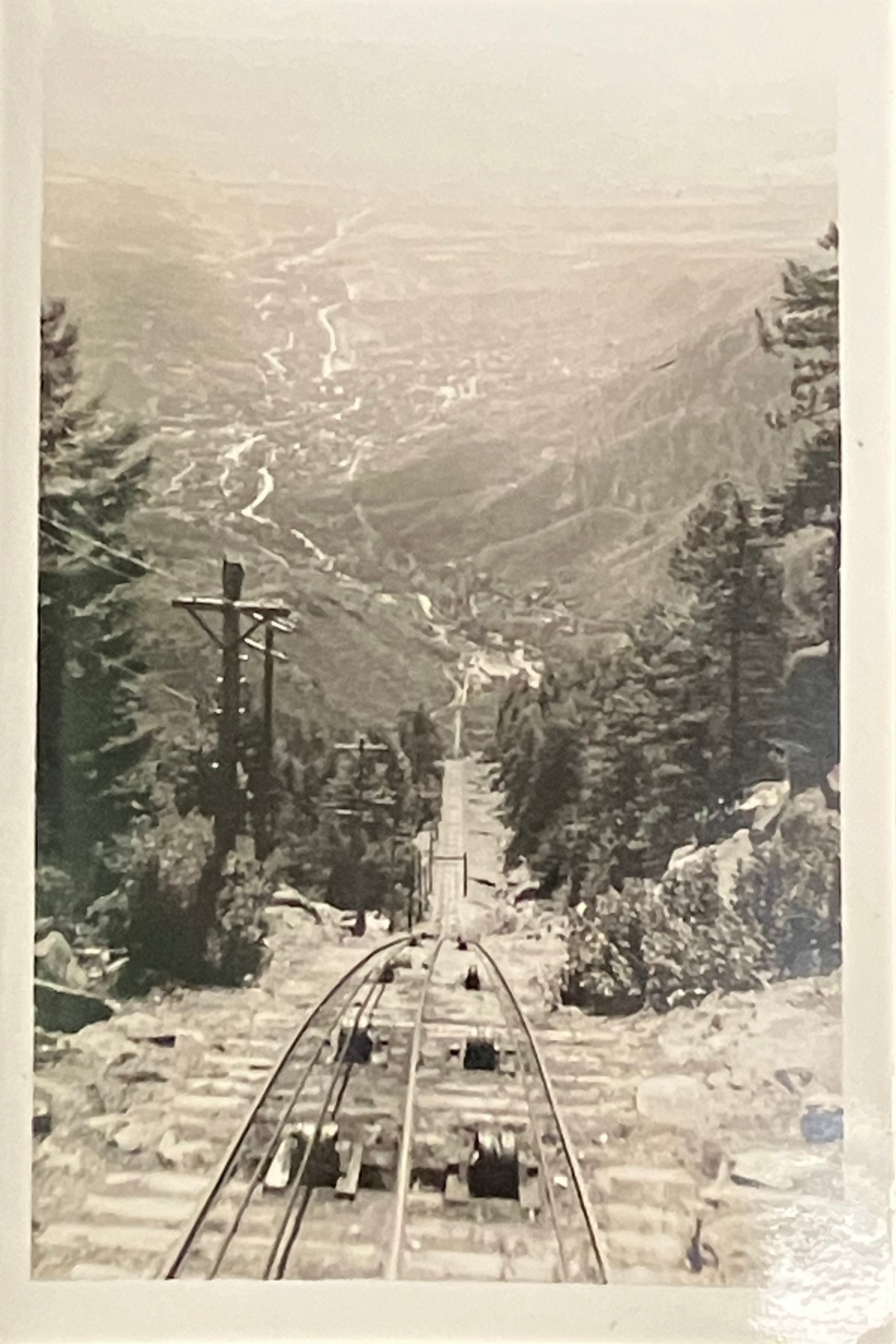 A vintage black and white photograph depicting a steep mountain railway track leading down into a deep valley, surrounded by pine trees and rugged terrain.