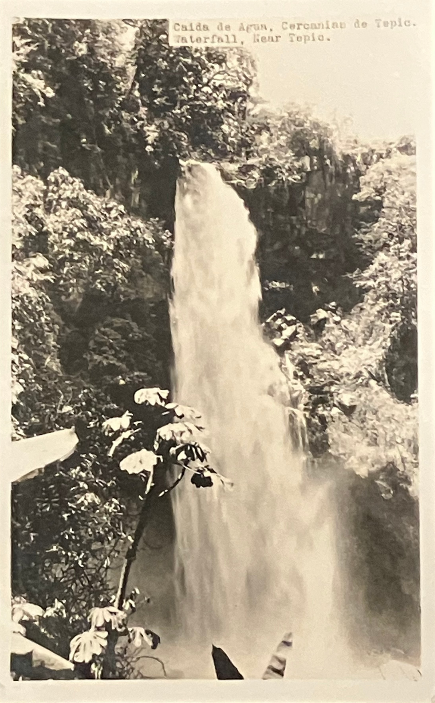 A vintage black and white photograph print depicting a tall waterfall cascading down a rocky cliff surrounded by dense tropical foliage. Typed text at the top reads 'Caldera de Agua', or 'Waterfall', near Tepic.