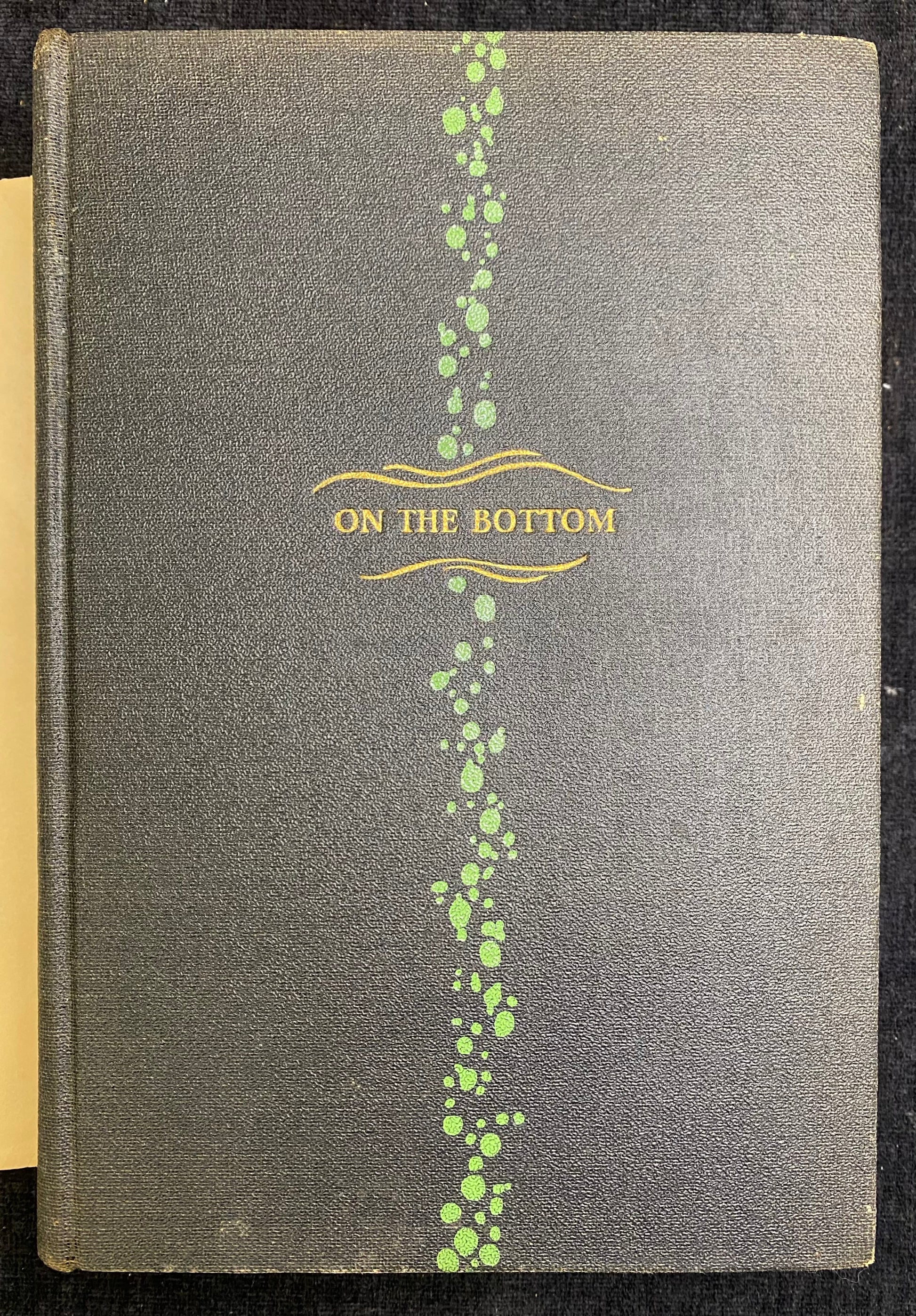 Book cover with 'On the Bottom' text and green design on a dark background
