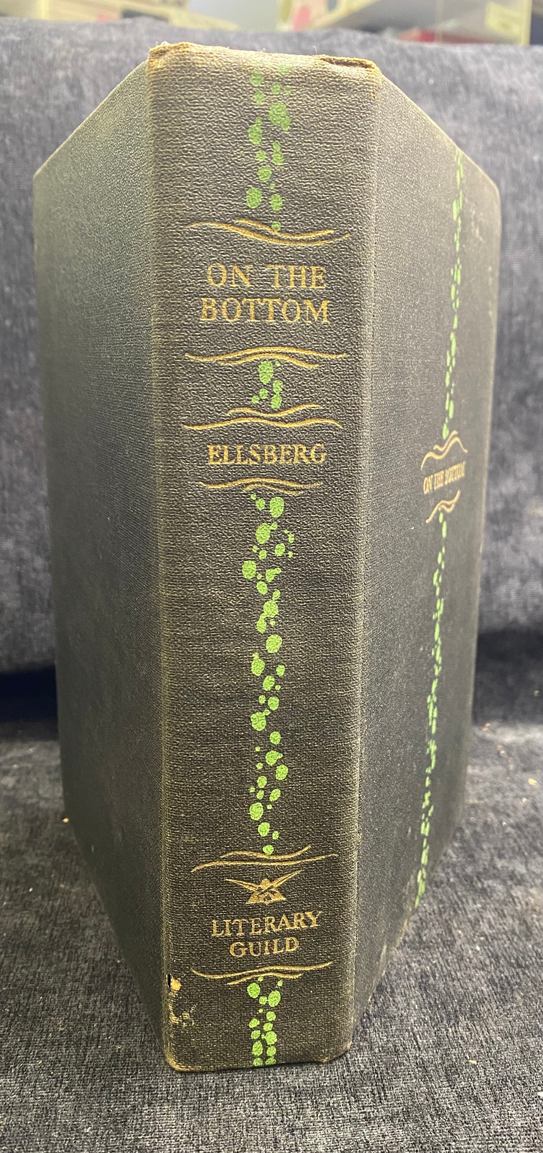 Book titled 'On the Bottom' by Ellsberg with green text on a textured surface