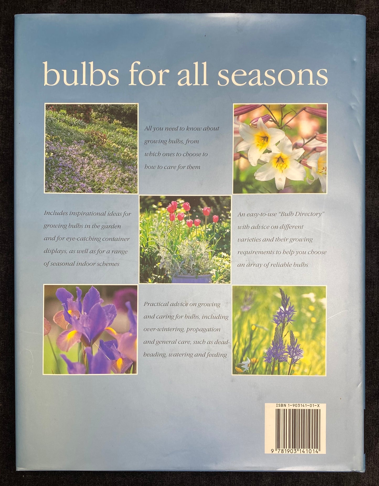 Bulbs for all seasons by Kathy Brown - 1st Edition - Aness Press 2000