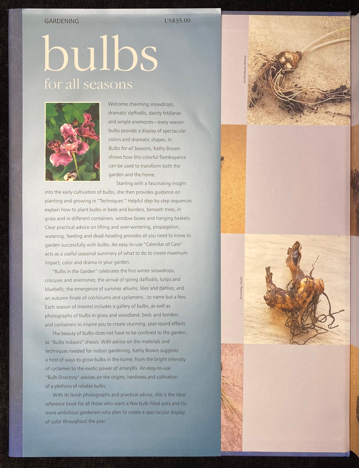 Bulbs for all seasons by Kathy Brown - 1st Edition - Aness Press 2000