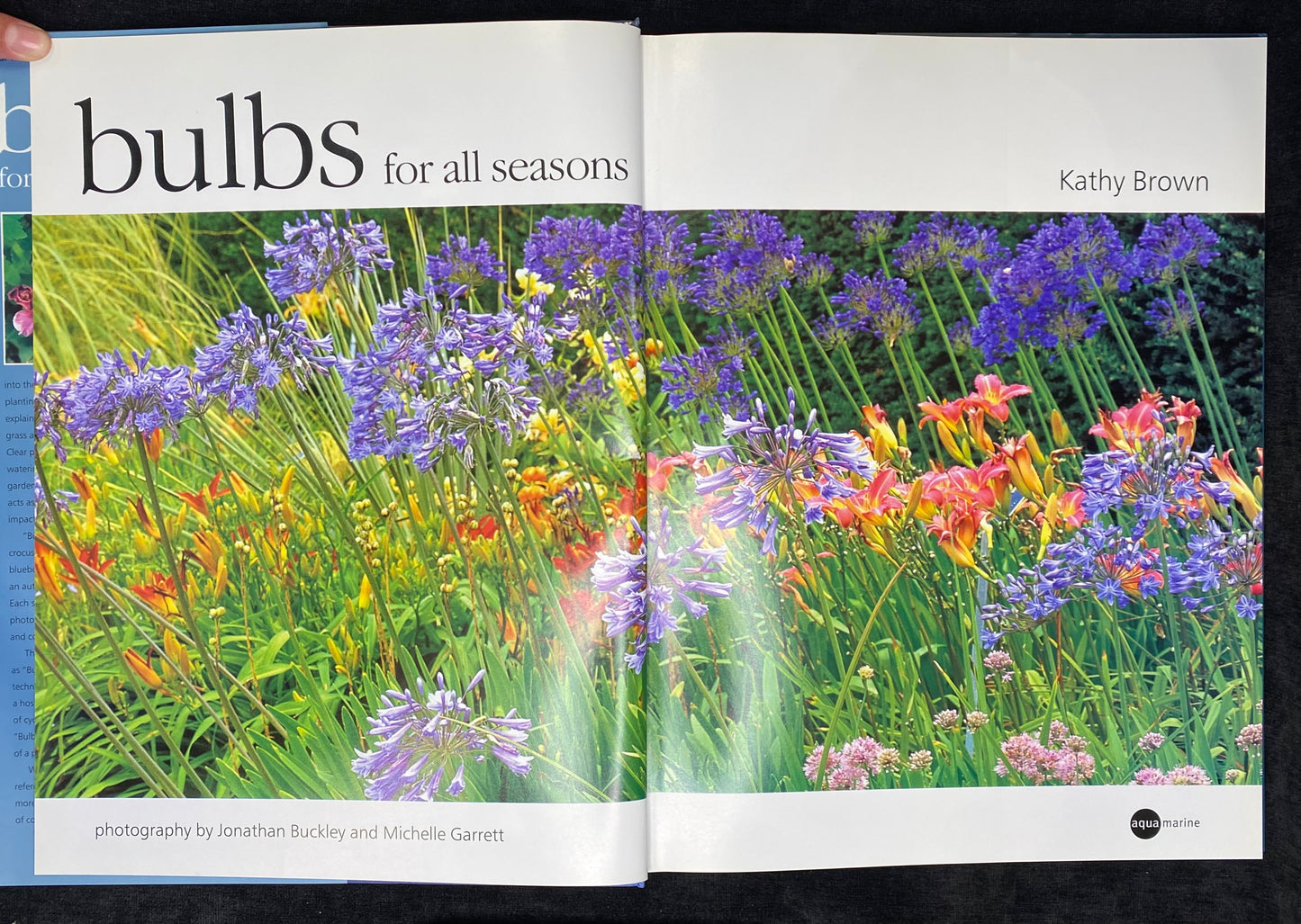 Bulbs for all seasons by Kathy Brown - 1st Edition - Aness Press 2000