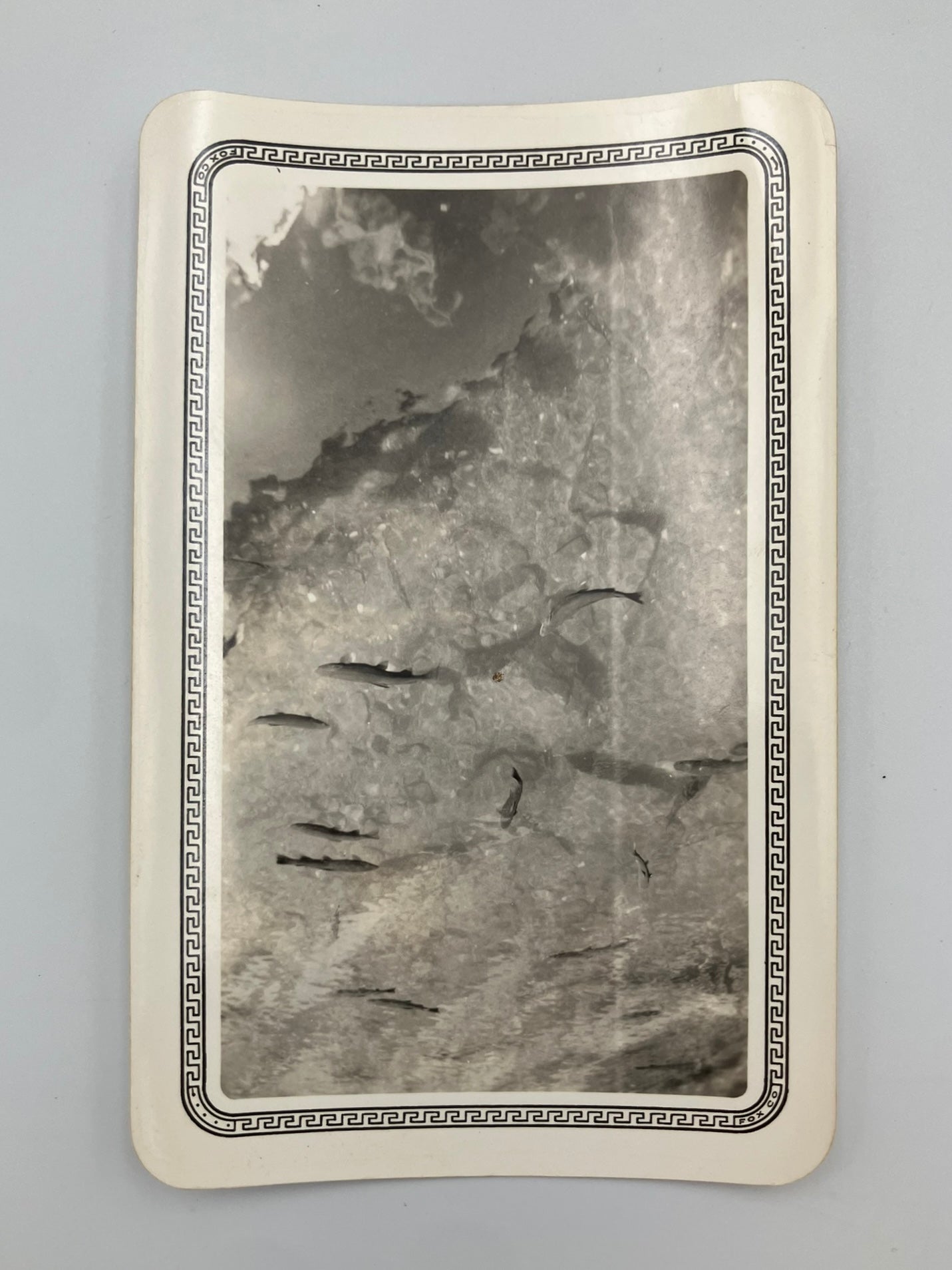 A square black and white photographic print featuring a school of fish swimming over a textured, snowy or icy landscape, framed by a decorative Greek key border.