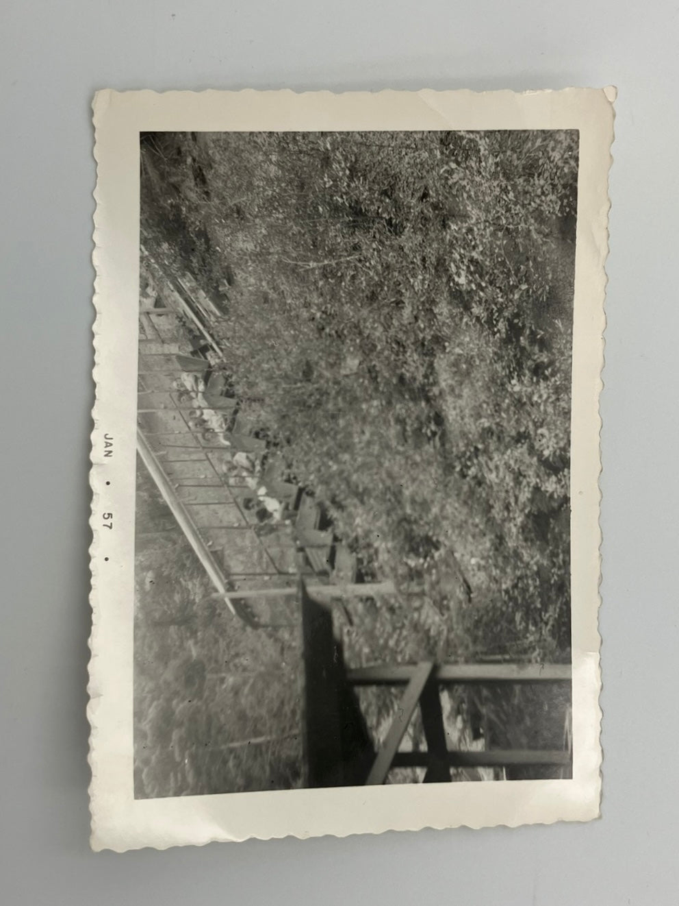Manitou and Pikes Peak Open-Air Cable Car on Incline -  1957 B&W Photo Colorado