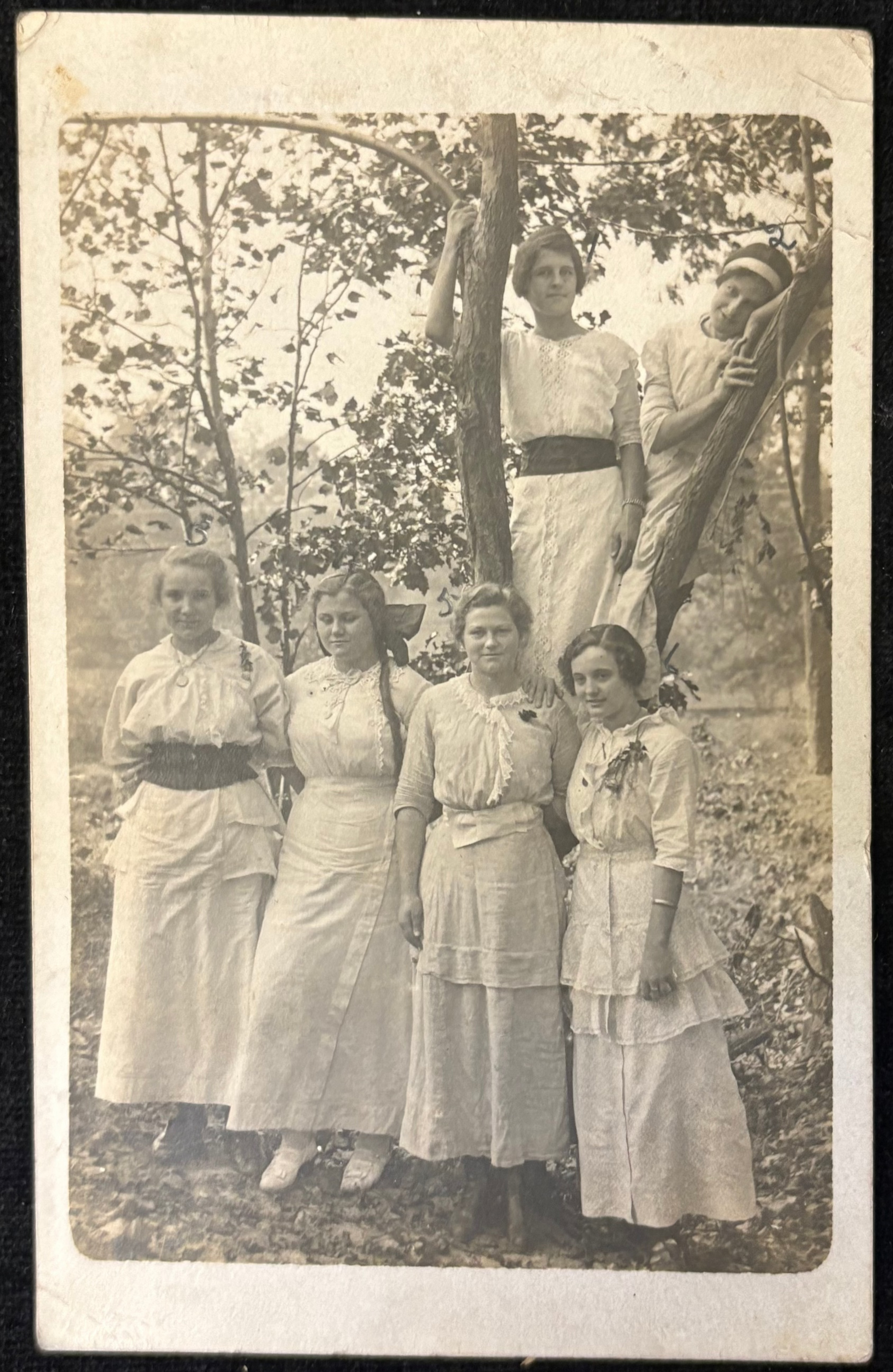 Vintage photograph of six women in white dresses standing outdoors with a tree in the background.