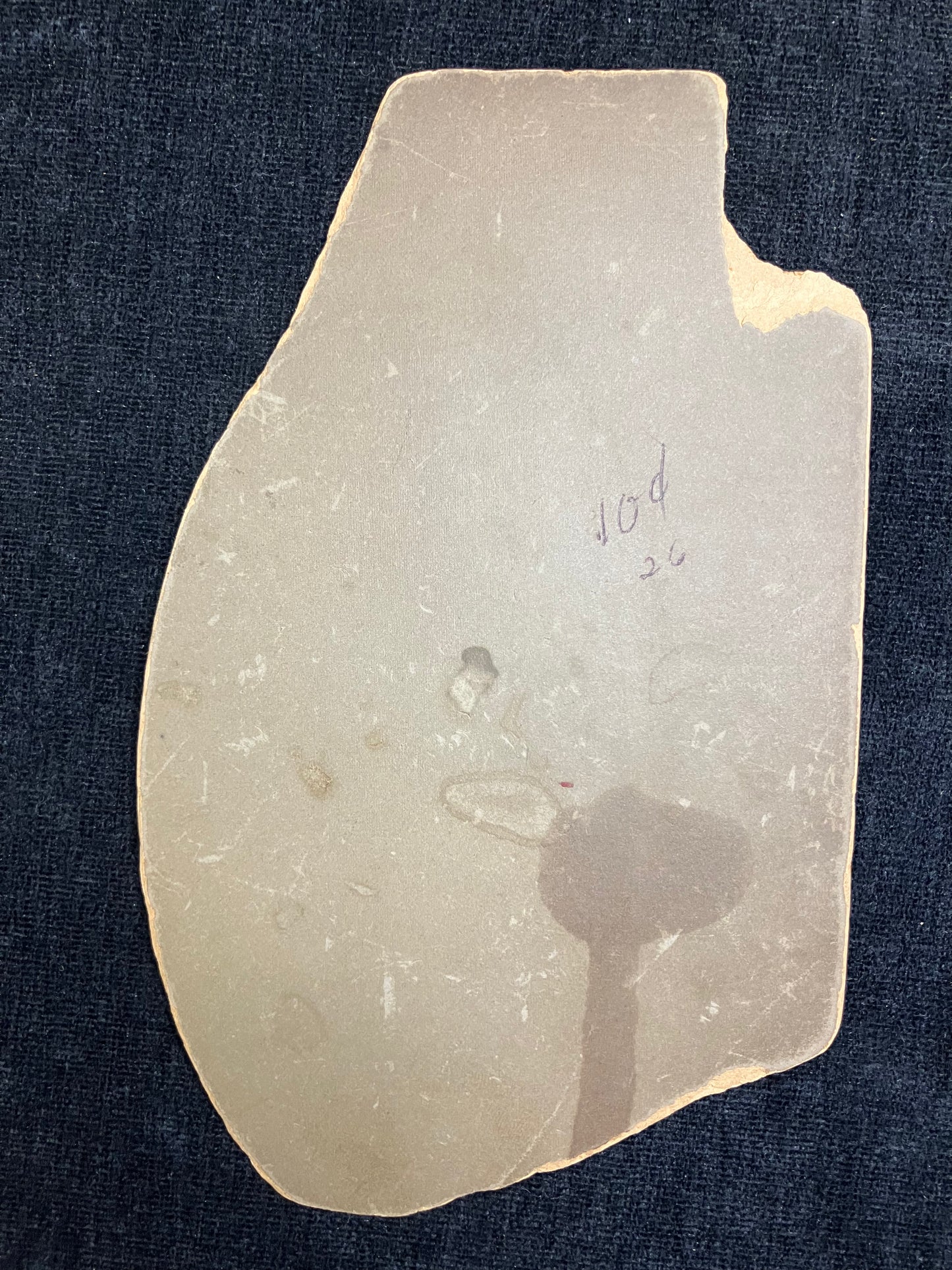 Victorian Black-and-White Photo - Elegant Matriarchial Oval Portrait - 1860s Oval Photo on Damaged Cabinet Card