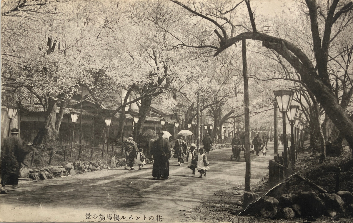 A vintage Japanese postcard showing a park pathway lined with blooming cherry blossom trees, with pedestrians walking along the path. The postcard is displayed flat against a light gray background.