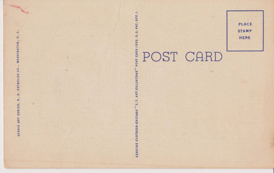 Main Entrance Hall White House - Washington D.C., Maryland - 1930s-1940s Vintage Postcard