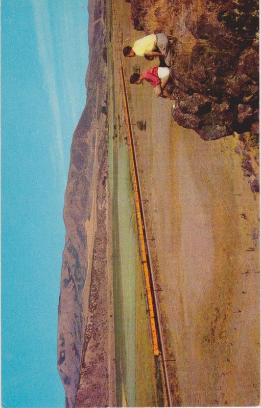 Union Pacific Streamliner Traversing the Rockies - Train Track Vintage Postcard