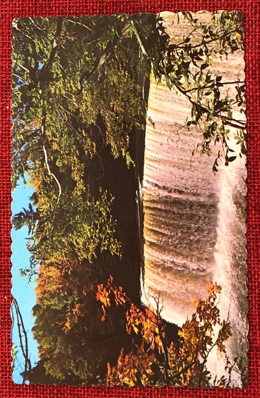 Upper Tahquamenon Falls in Early Fall Vintage Postcard