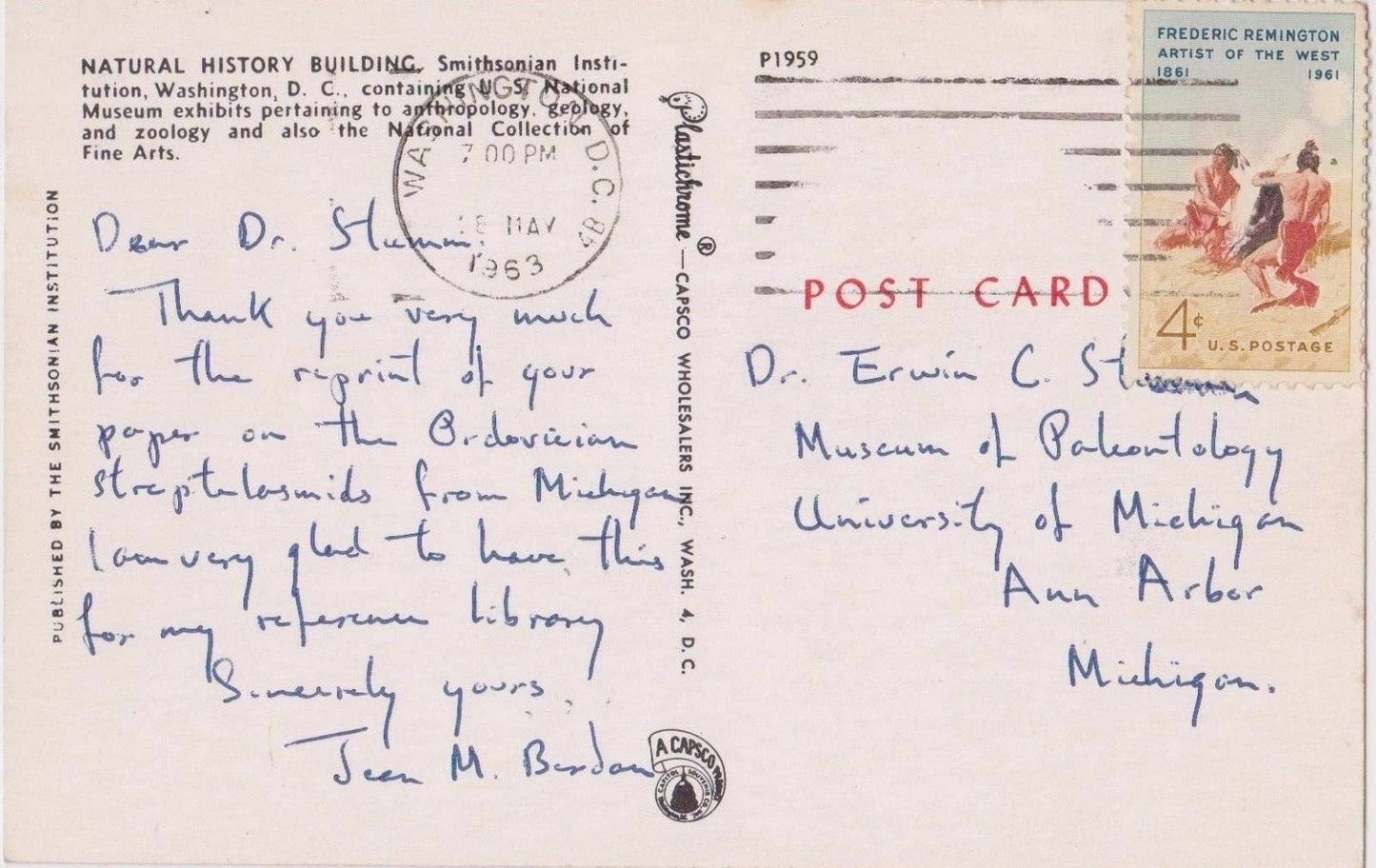 National Museum of Natural History - Washington D.C. Vintage 1960s Postcard