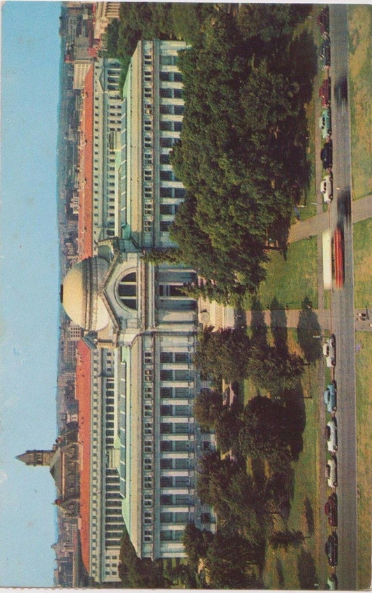 National Museum of Natural History - Washington D.C. Vintage 1960s Postcard