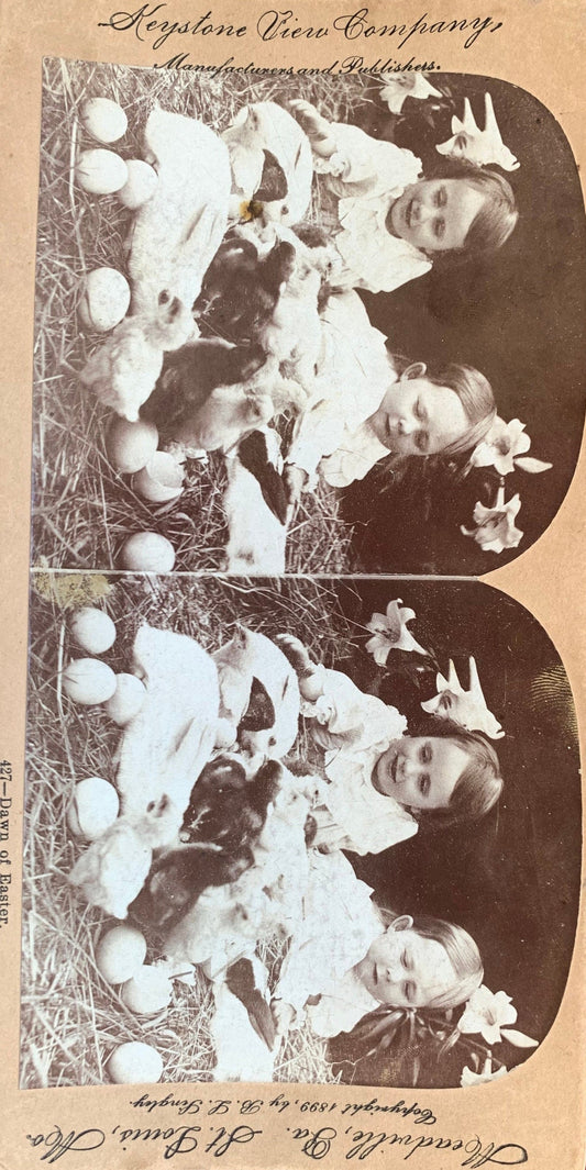 Dawn of Easter - Vintage Stereo View Card - 1899 - Two Children With Bunnies and Ducks