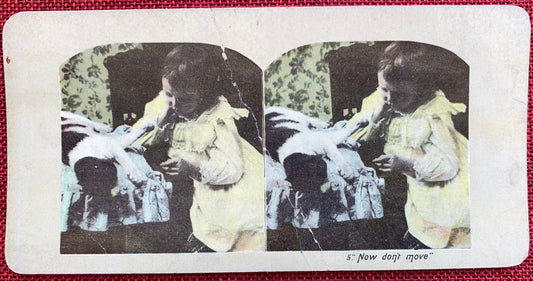 Now Don't Move - Vintage Stereo View Card - Late 1800s, Child Playing With a Cat