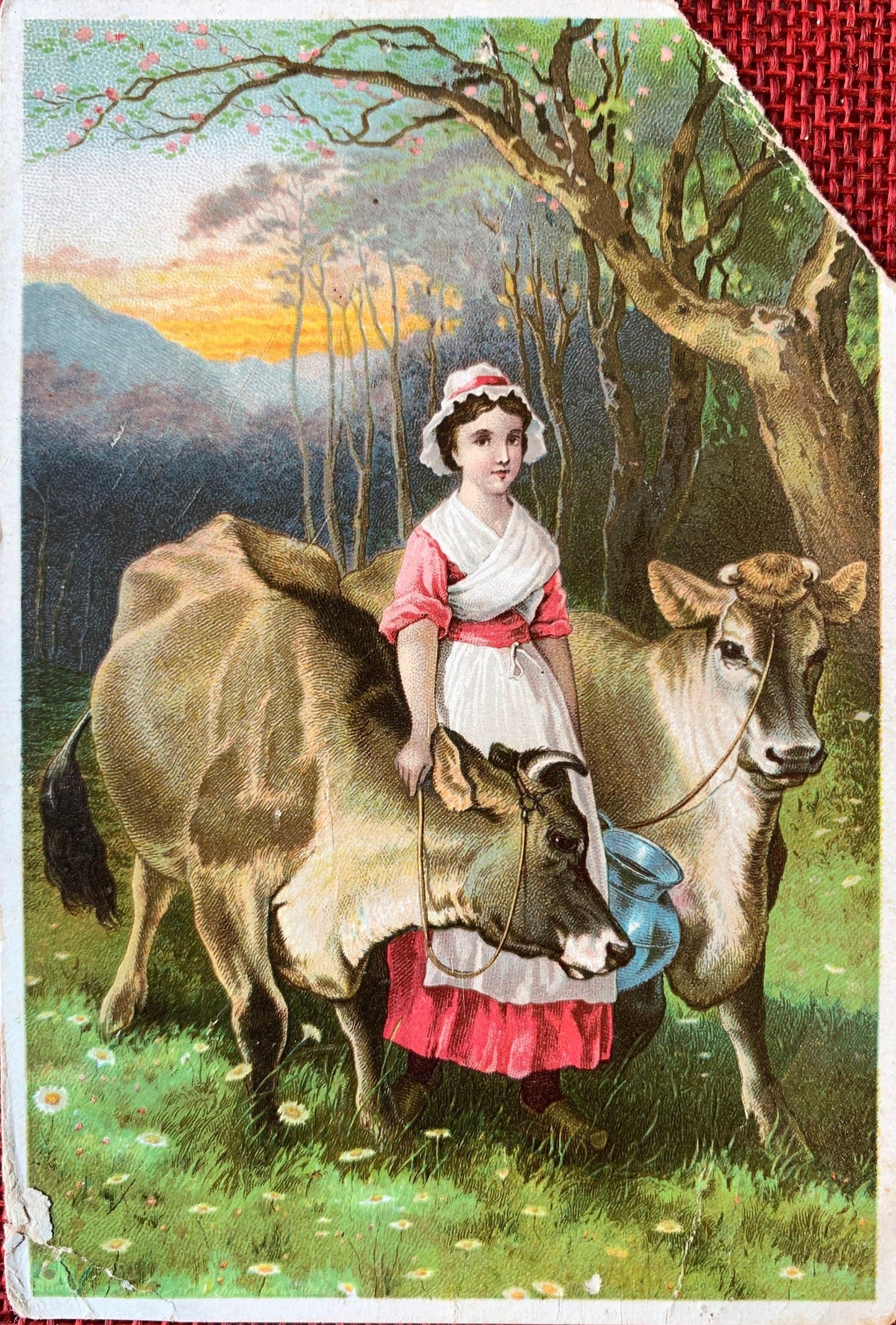Dr. Jayne's Expectorant - Late 1800s Trade Card