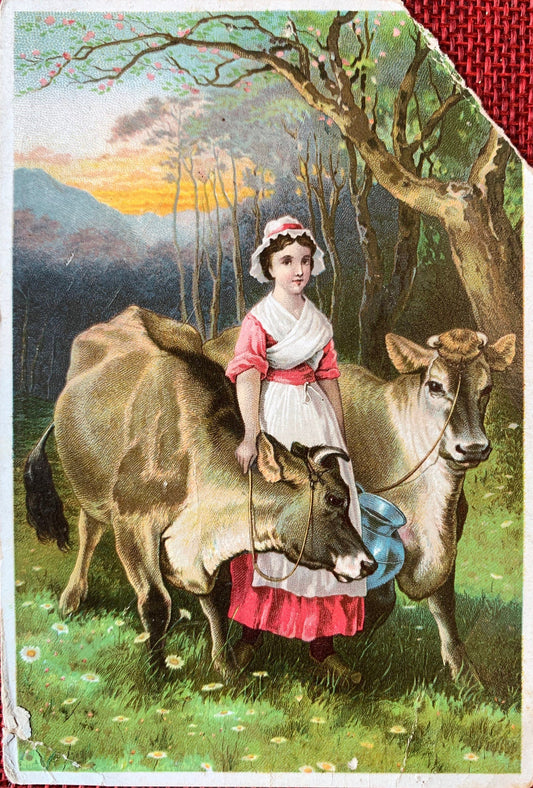 Dr. Jayne's Expectorant - Late 1800s Trade Card