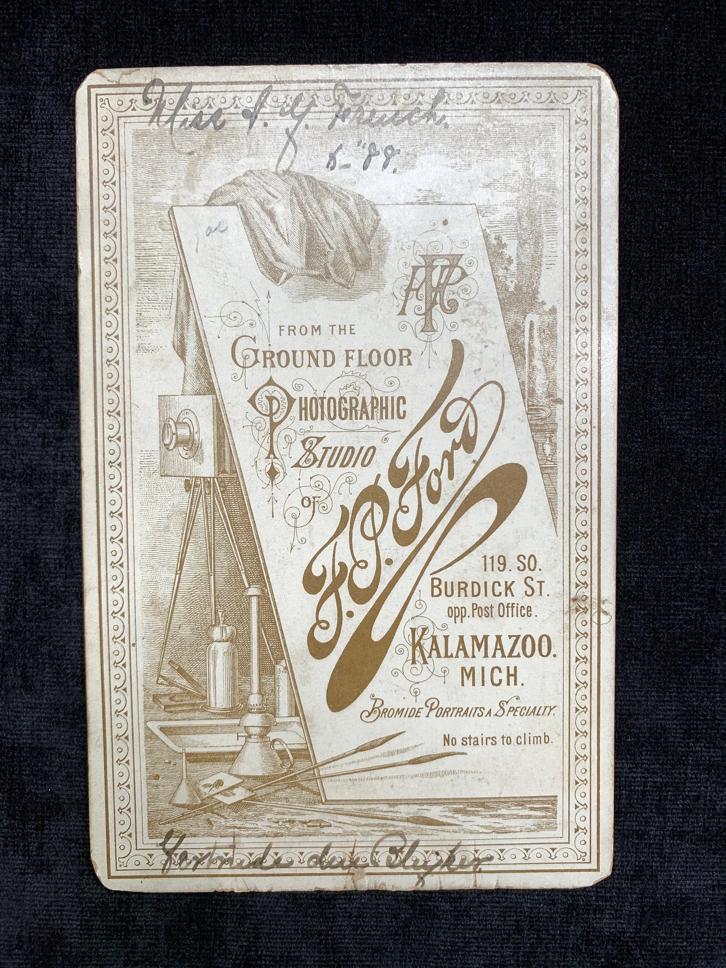 Bromide Portrait of a Victorian Woman Kalamazoo, Michigan 1888