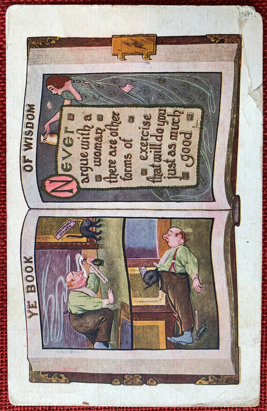 Ye Book of Wisdom, Never Argue With A Woman Vintage Color Postcard 1911