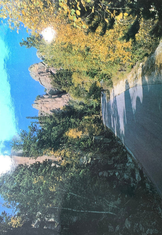 Needles Highway, Black Hills of South Dakota Vintage Postcard 1980s