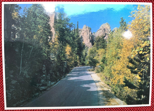 Needles Highway, Black Hills of South Dakota Vintage Postcard 1980s
