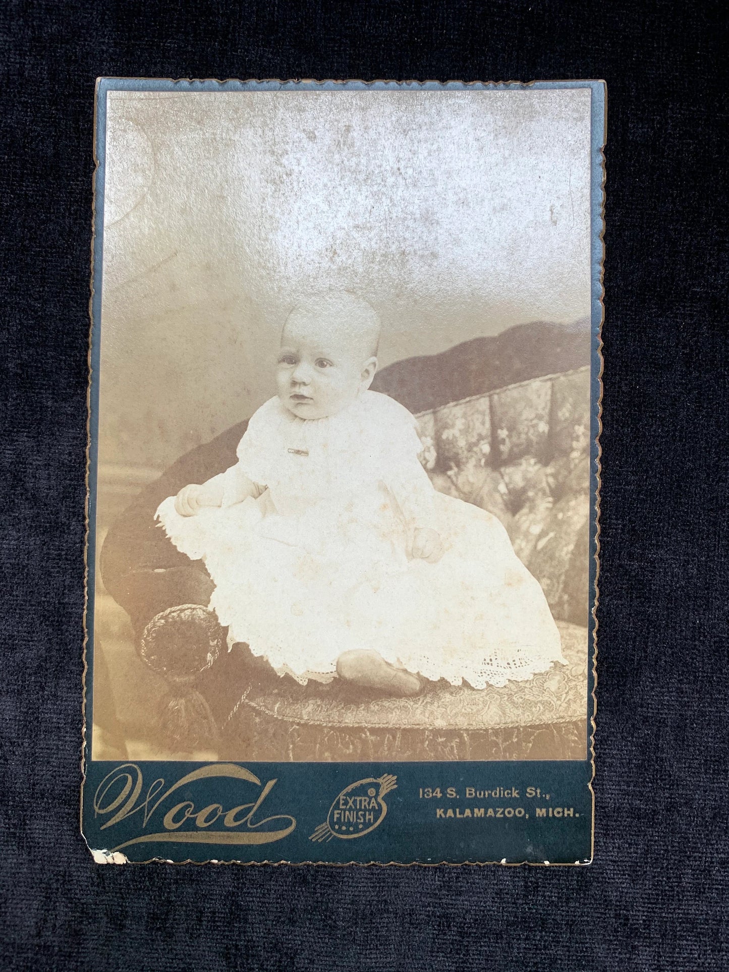 Victorian Era Portrait of a Baby Posed on a Couch, Kalamazoo Michigan Woods Studio 1896-1897