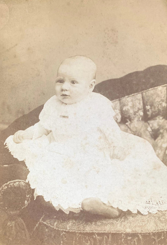 Victorian Era Portrait of a Baby Posed on a Couch, Kalamazoo Michigan Woods Studio 1896-1897