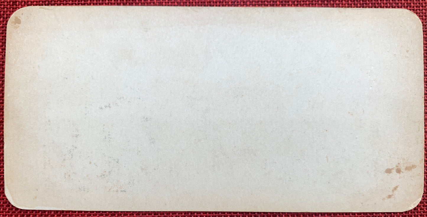 Honolulu and Harbor - Hawaiian Islands - Rare Vintage Stereo Card - Early 1900s