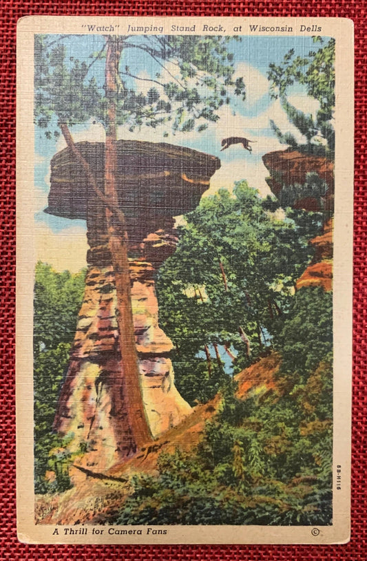 Watch Jumping Stand Rock, at Wisconsin Dells, Wisconsin - Vintage Linen Postcard 1940s