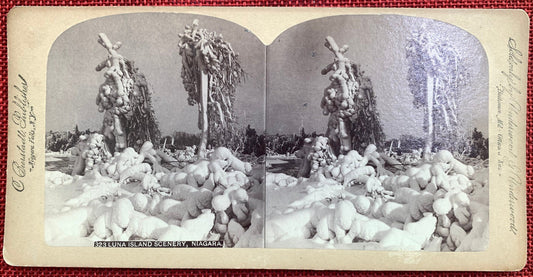 Luna Island Scenery - Niagara Falls, New York - Vintage Stereo View Card - 1860s
