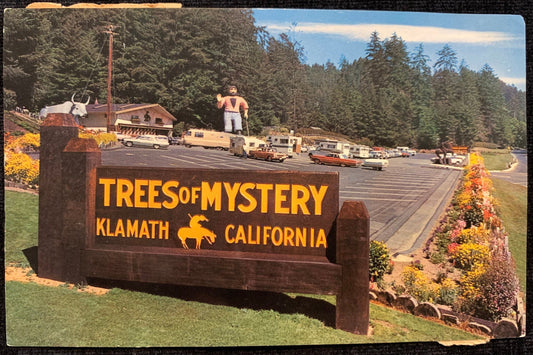 Trees of Mystery - Klamath, California - Vintage Postcard