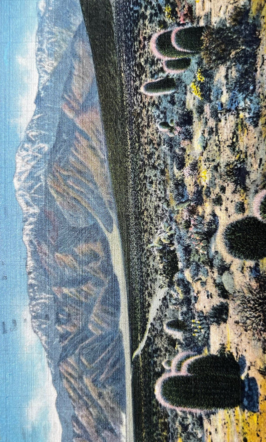 Mt. San Jacinto from Devil's Garden, California - Vintage Linen Postcard 1930s