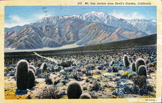 Mt. San Jacinto from Devil's Garden, California - Vintage Linen Postcard 1930s